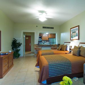 Studio Suite